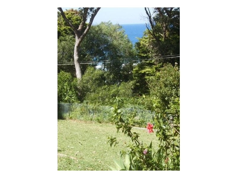 26 Squires Crescent, Coledale NSW 2515