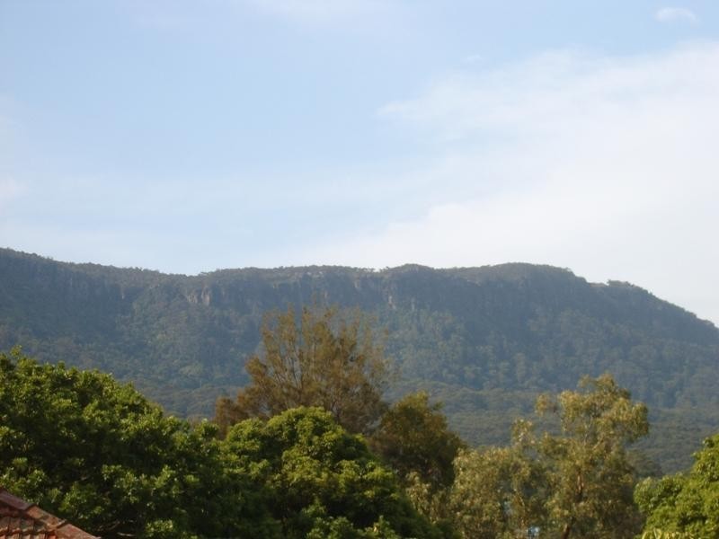 439 Lawrence Hargrave Drive, Thirroul NSW 2515