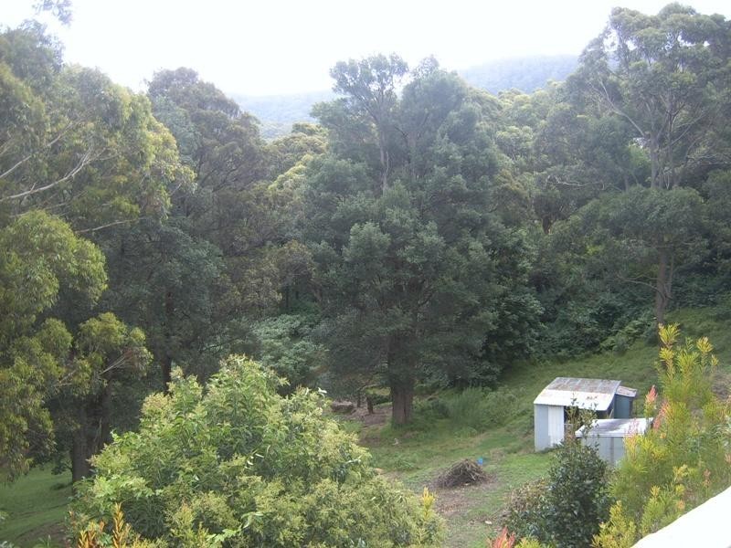 88 Princes Highway, Thirroul NSW 2515