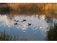 Lot 34 Harben Vale Circuit, Grasmere NSW 2570