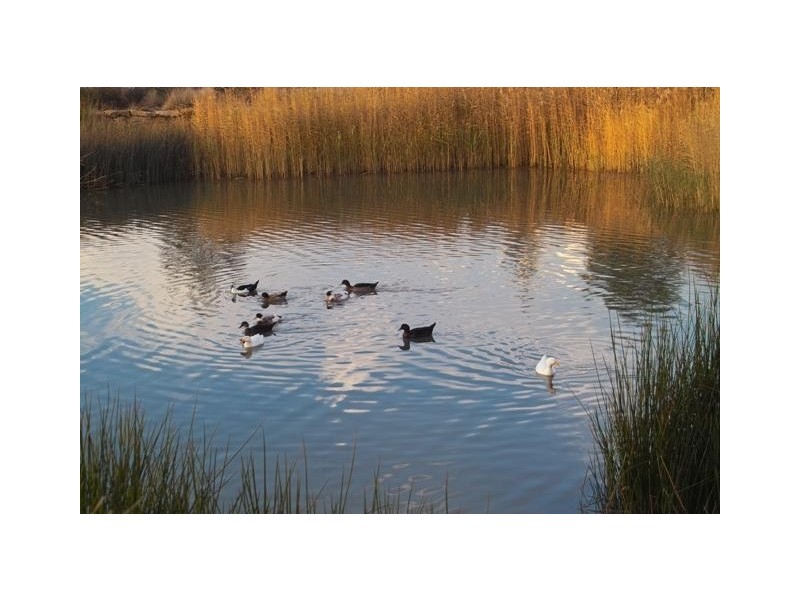 Lot 34 Harben Vale Circuit, Grasmere NSW 2570