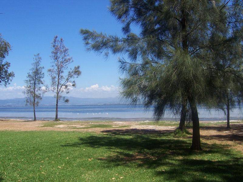 14 Windang Road, Primbee NSW 2502