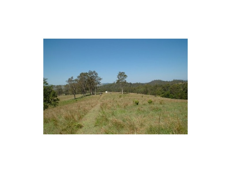 Bunyah NSW 2429