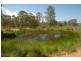 Bunyah NSW 2429