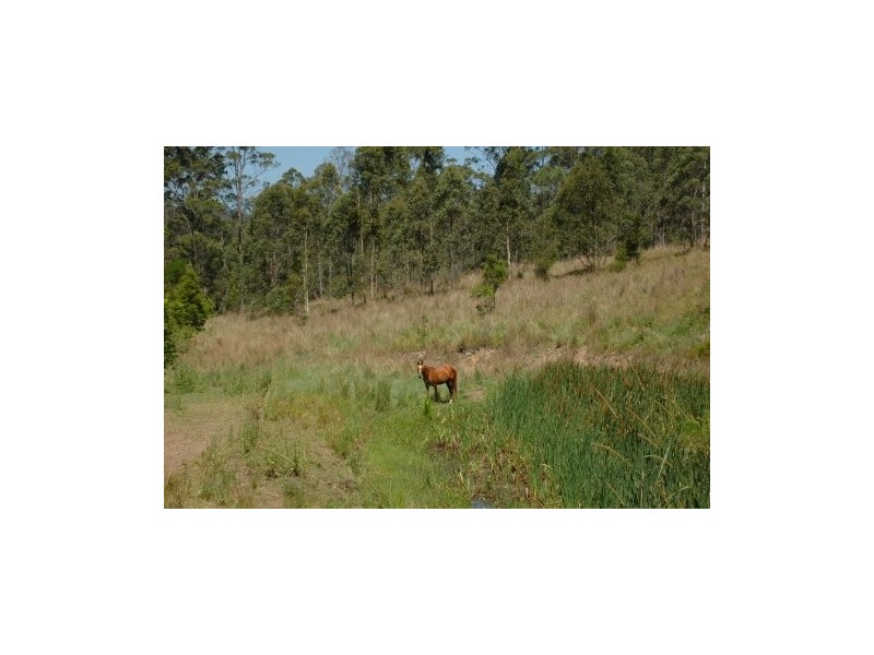 Bunyah NSW 2429