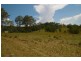 Bunyah NSW 2429