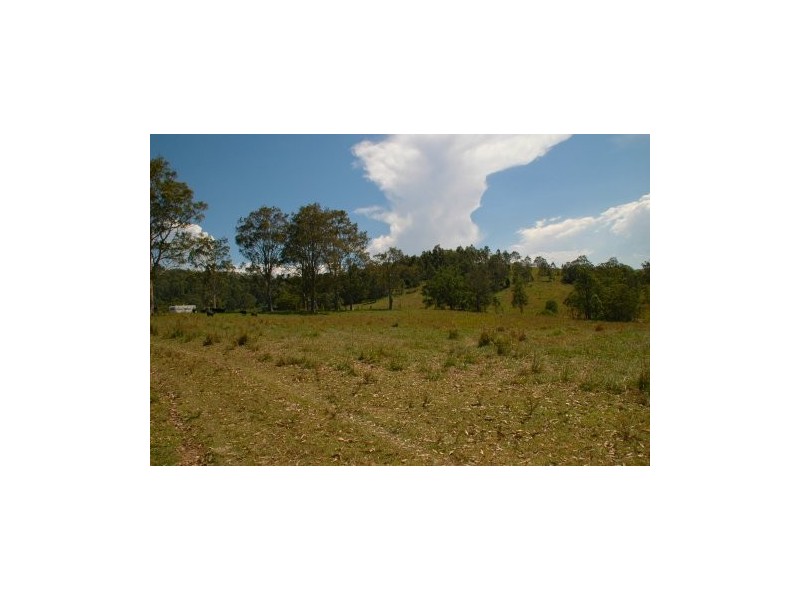 Bunyah NSW 2429