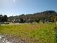 67a Crawford, Bulahdelah NSW 2423