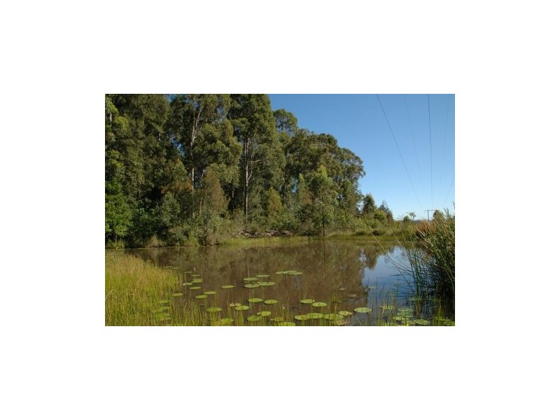 Coolongolook NSW 2423