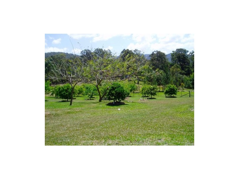 Markwell NSW 2423