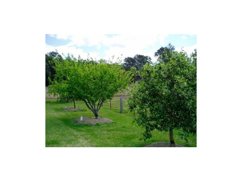 Markwell NSW 2423