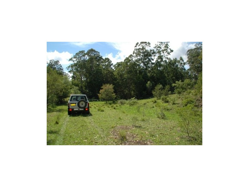 Bunyah NSW 2429