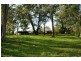 Girvan NSW 2425