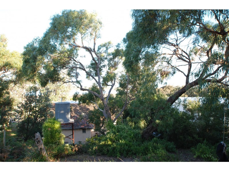 58 Goodlett Avenue, Loch Sport VIC 3851