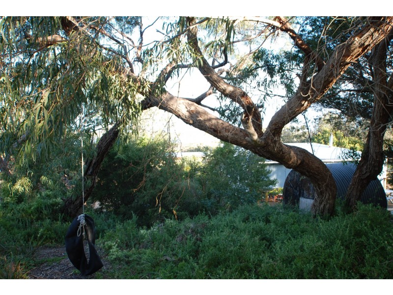 58 Goodlett Avenue, Loch Sport VIC 3851