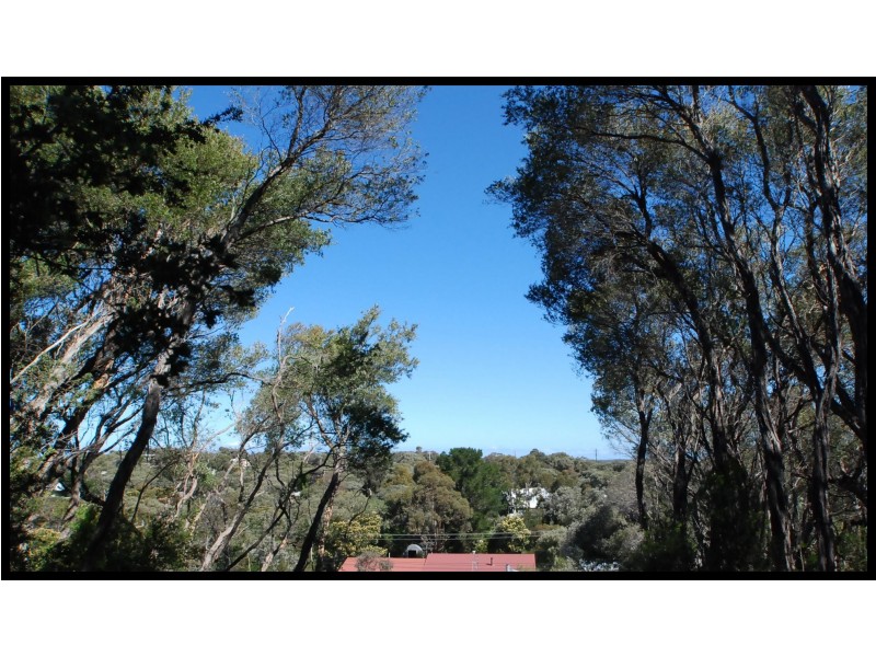 71 Toorak Avenue, Loch Sport VIC 3851