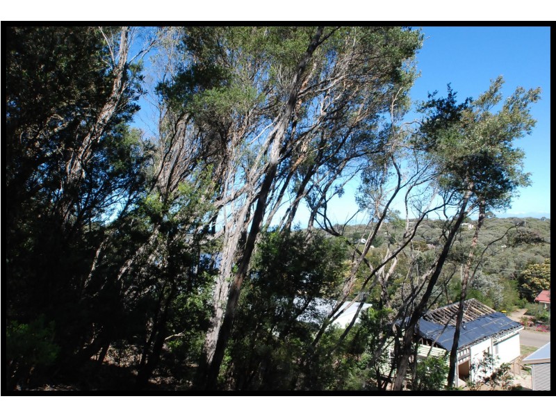 71 Toorak Avenue, Loch Sport VIC 3851