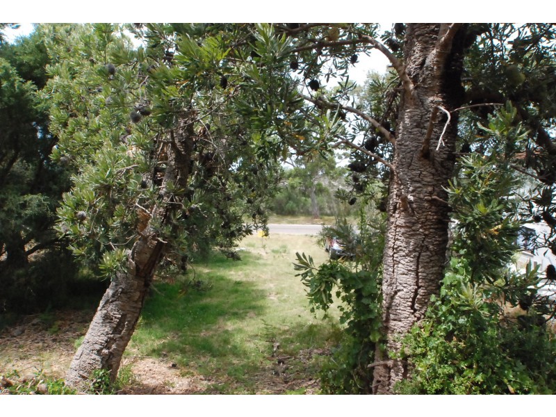 70 Wallaby Street, Loch Sport VIC 3851