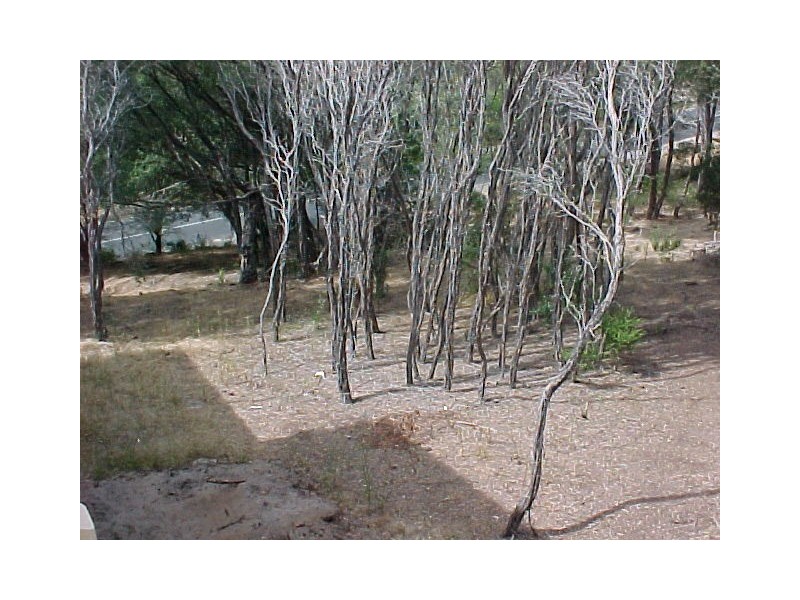 185 National Park Road, Loch Sport VIC 3851