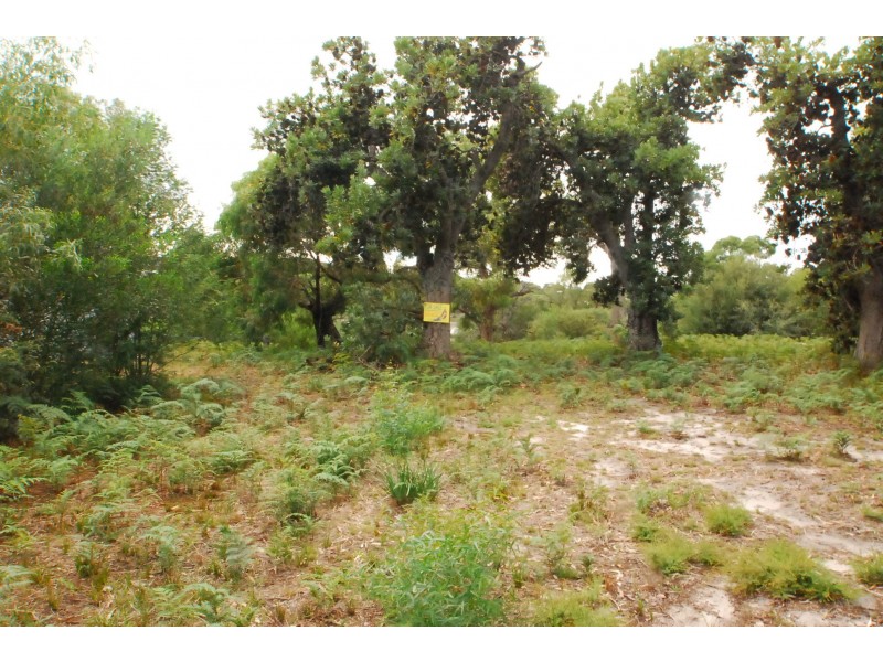 25 Goodlett Avenue, Loch Sport VIC 3851