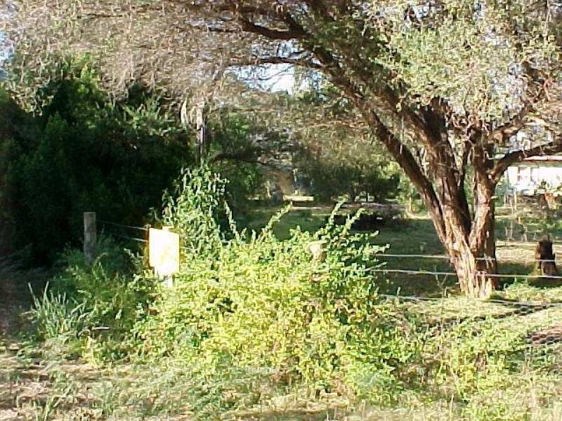 9 Wallaby Street, Loch Sport VIC 3851