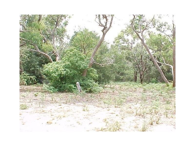 51 Goodlett Avenue, Loch Sport VIC 3851