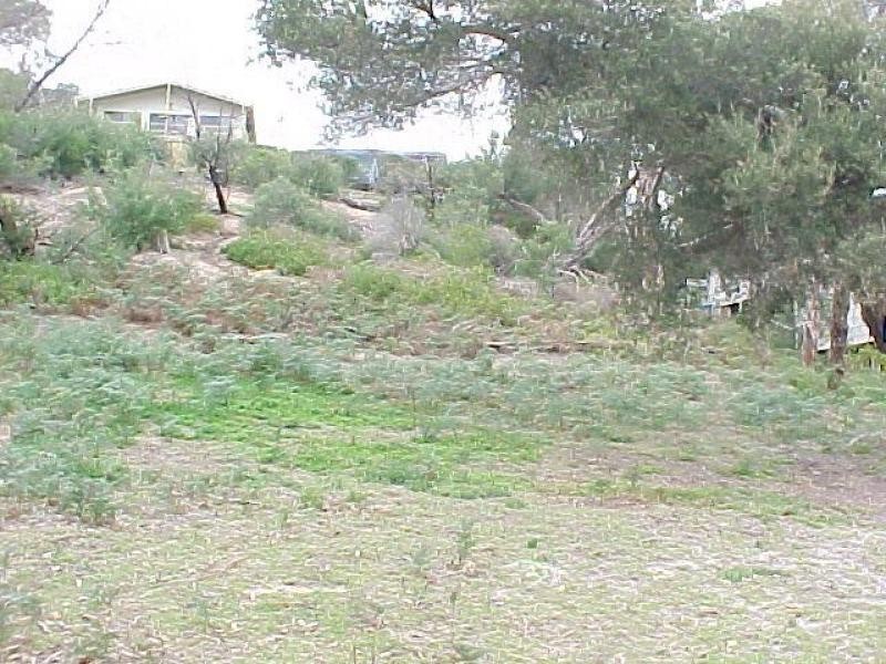 31 The Boulevard, Loch Sport VIC 3851