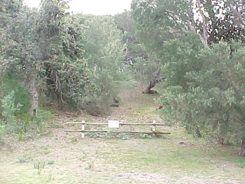 34 Wallaby Street, Loch Sport VIC 3851