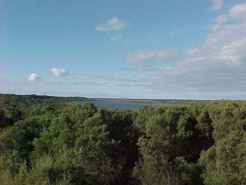 41 White Crescent, Loch Sport VIC 3851