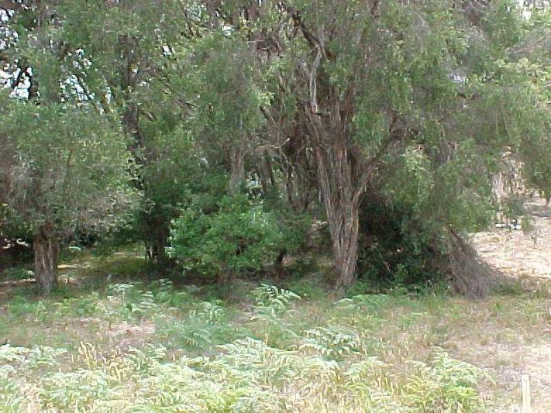 71 Toorak Avenue, Loch Sport VIC 3851