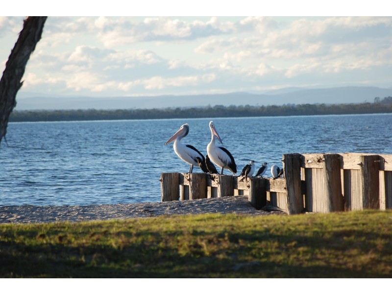 50 Victoria Parade, Loch Sport VIC 3851