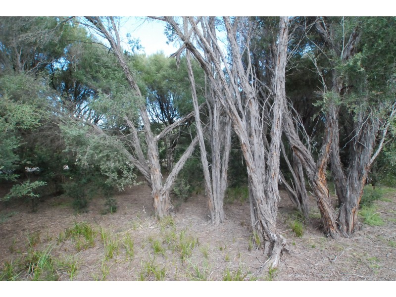 410 National Park Road, Loch Sport VIC 3851