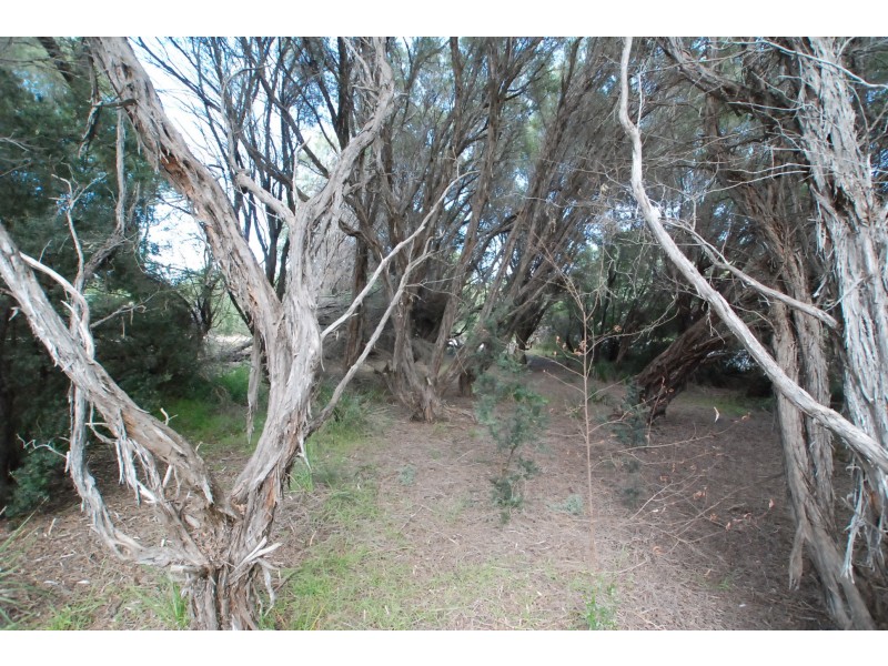 410 National Park Road, Loch Sport VIC 3851