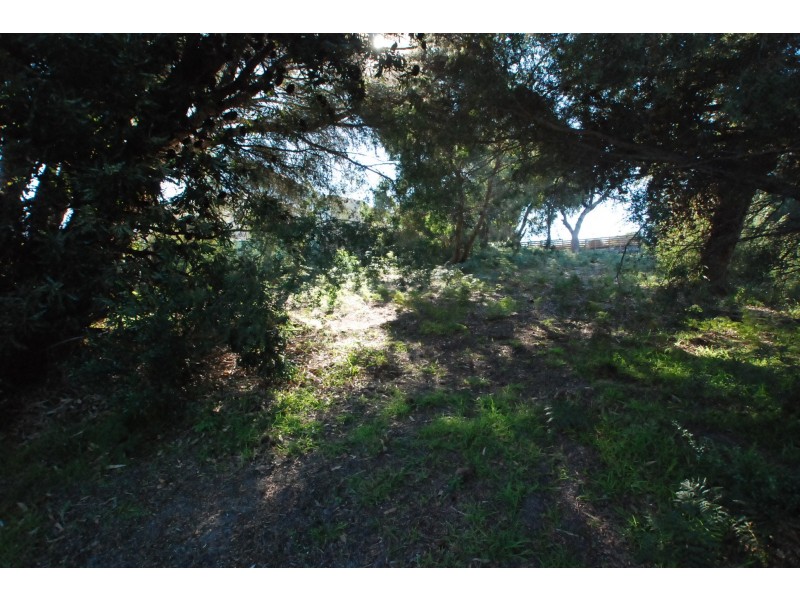 141 Toorak Avenue, Loch Sport VIC 3851