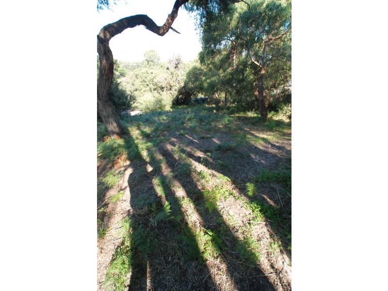 141 Toorak Avenue, Loch Sport VIC 3851