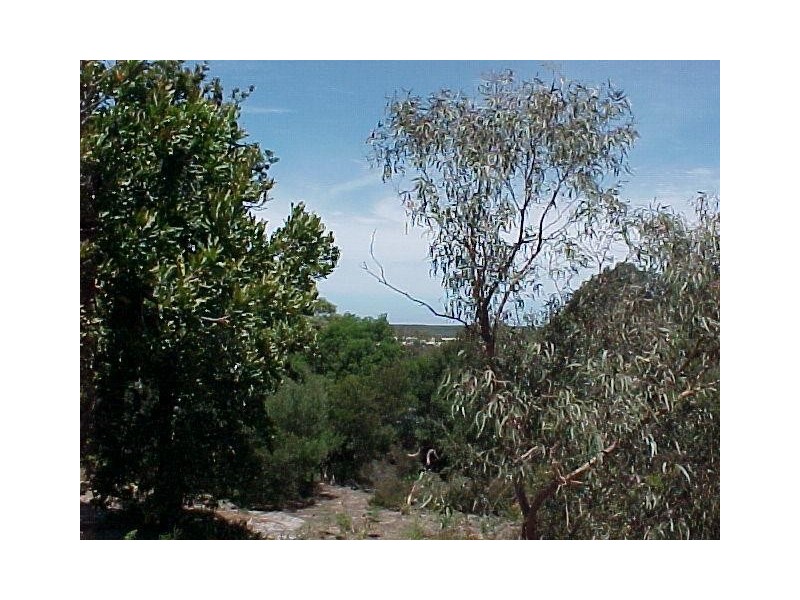 48 Goodlett Avenue, Loch Sport VIC 3851