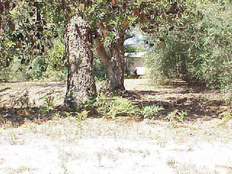 104 Campbell Street, Loch Sport VIC 3851