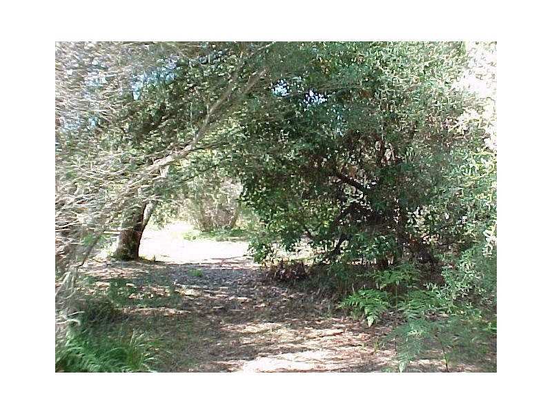 76 National Park Road, Loch Sport VIC 3851