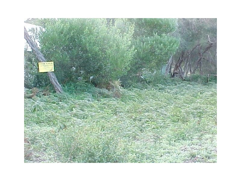 8 Cove Street, Loch Sport VIC 3851