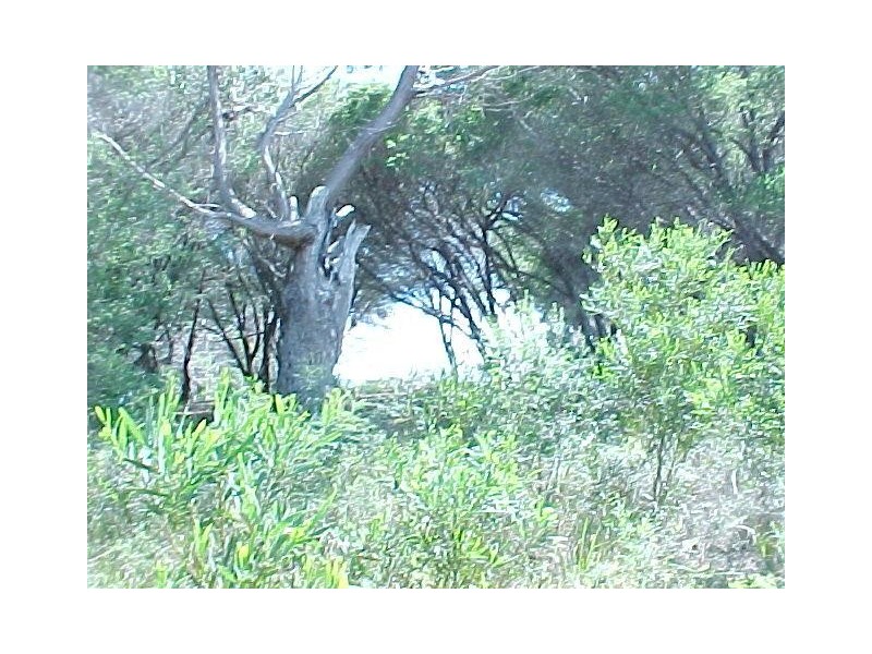 217 National Park Road, Loch Sport VIC 3851