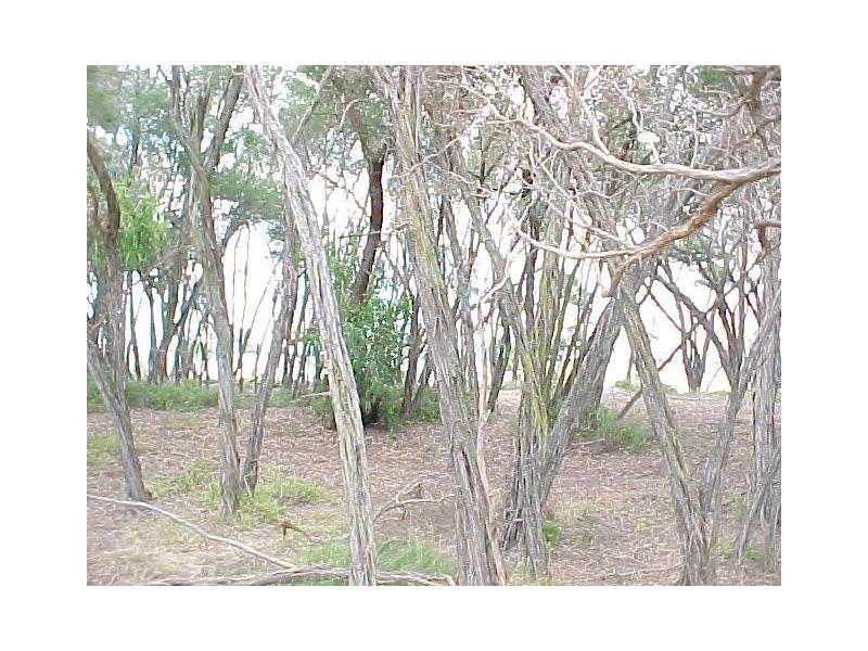 64 Seagull Drive, Loch Sport VIC 3851