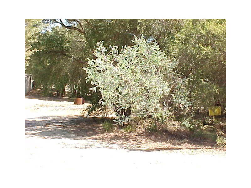 8 Catherine Court, Loch Sport VIC 3851