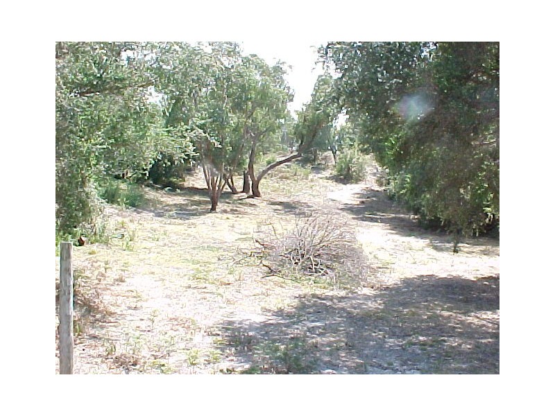 143 Toorak Avenue, Loch Sport VIC 3851