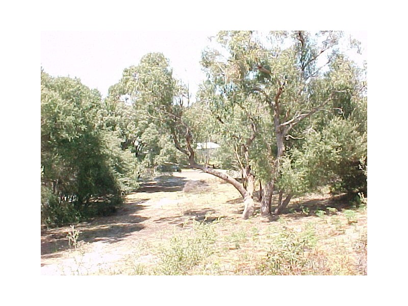 143 Toorak Avenue, Loch Sport VIC 3851