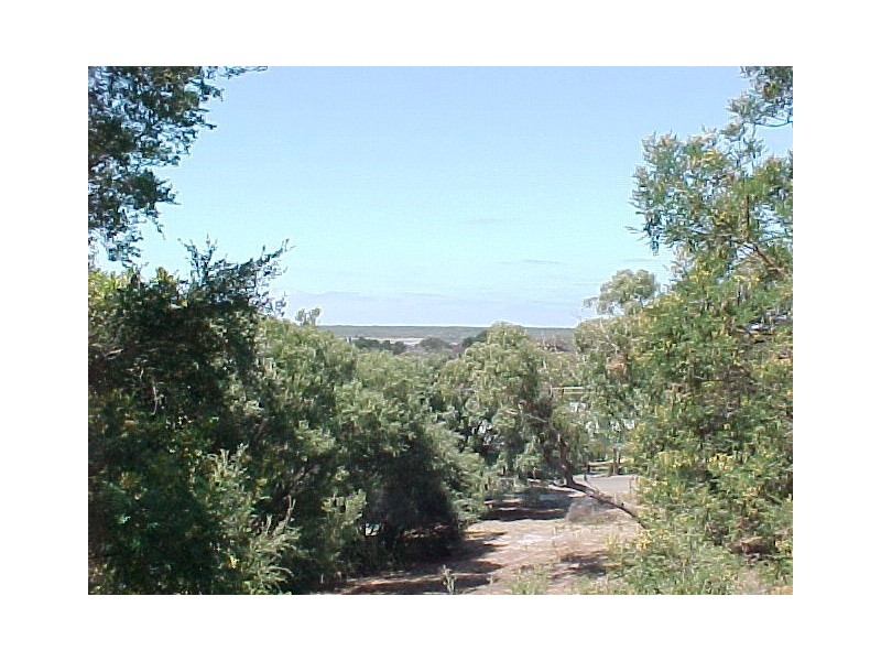 143 Toorak Avenue, Loch Sport VIC 3851