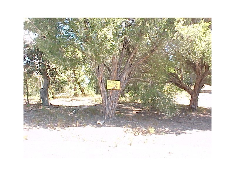 24 Goodlett Avenue, Loch Sport VIC 3851