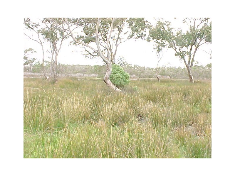 5 Davies Street, Loch Sport VIC 3851