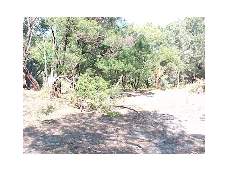 24 Cove Street, Loch Sport VIC 3851