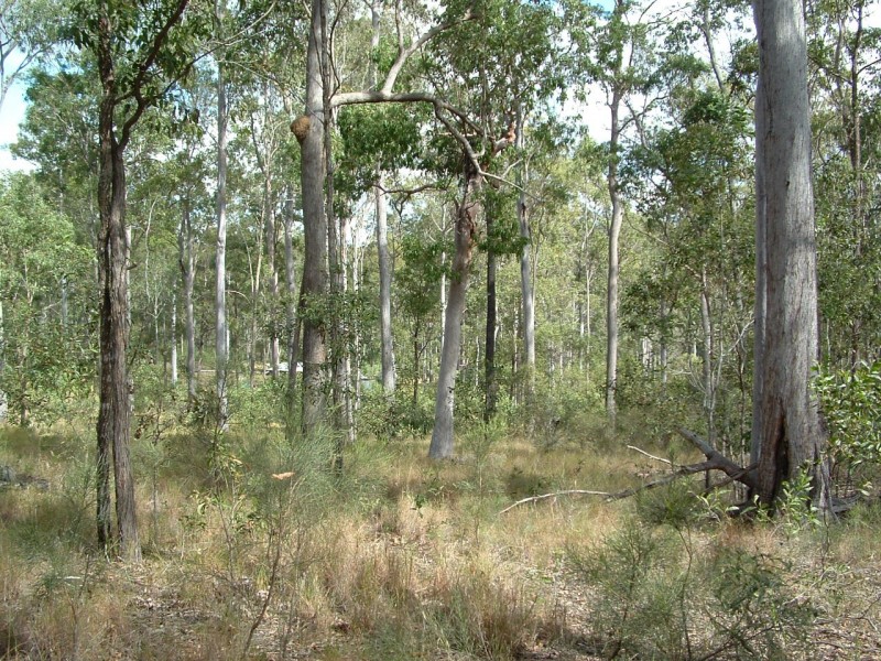 Bauple QLD 4650