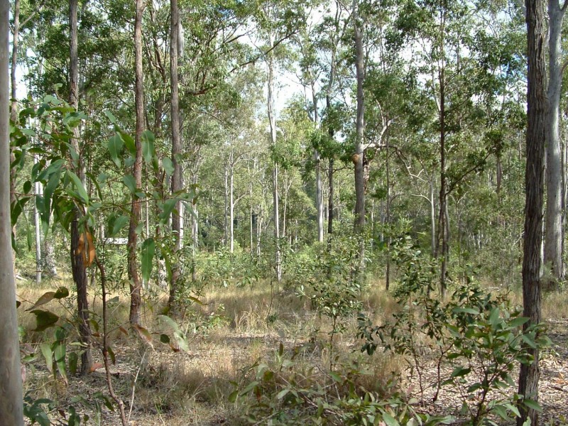 Bauple QLD 4650